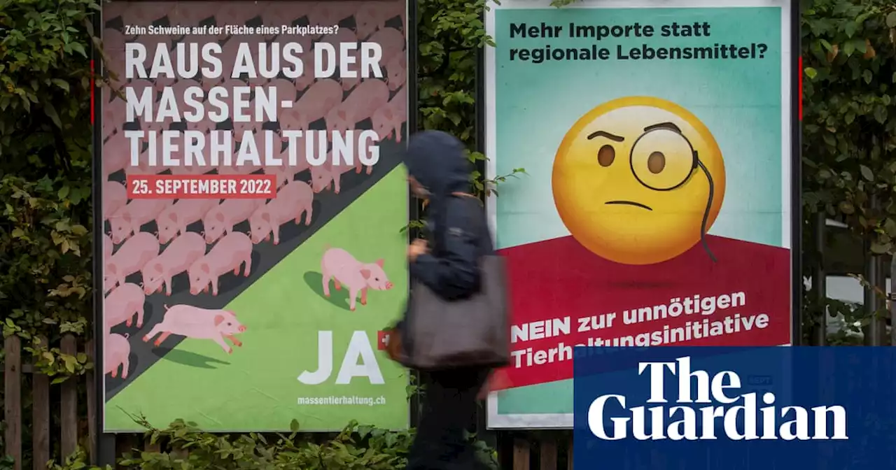 Swiss to vote in national poll on banning factory farming