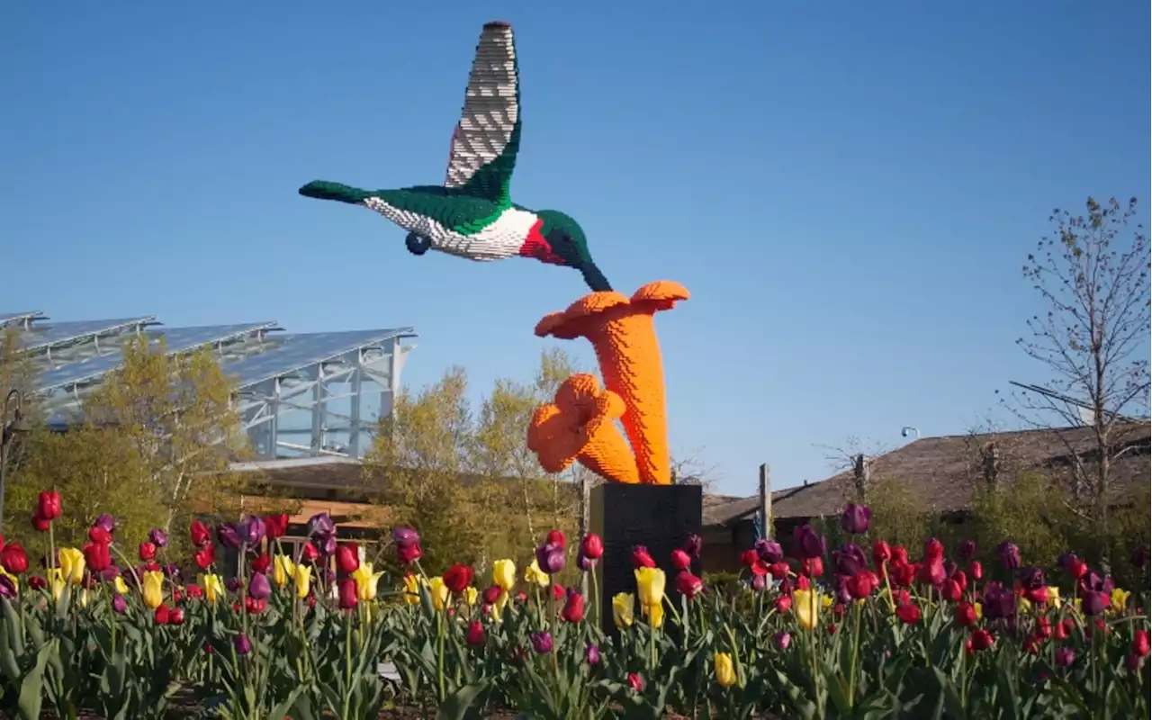 Houston Botanic Garden Gets Crafty With LEGO Sculptures