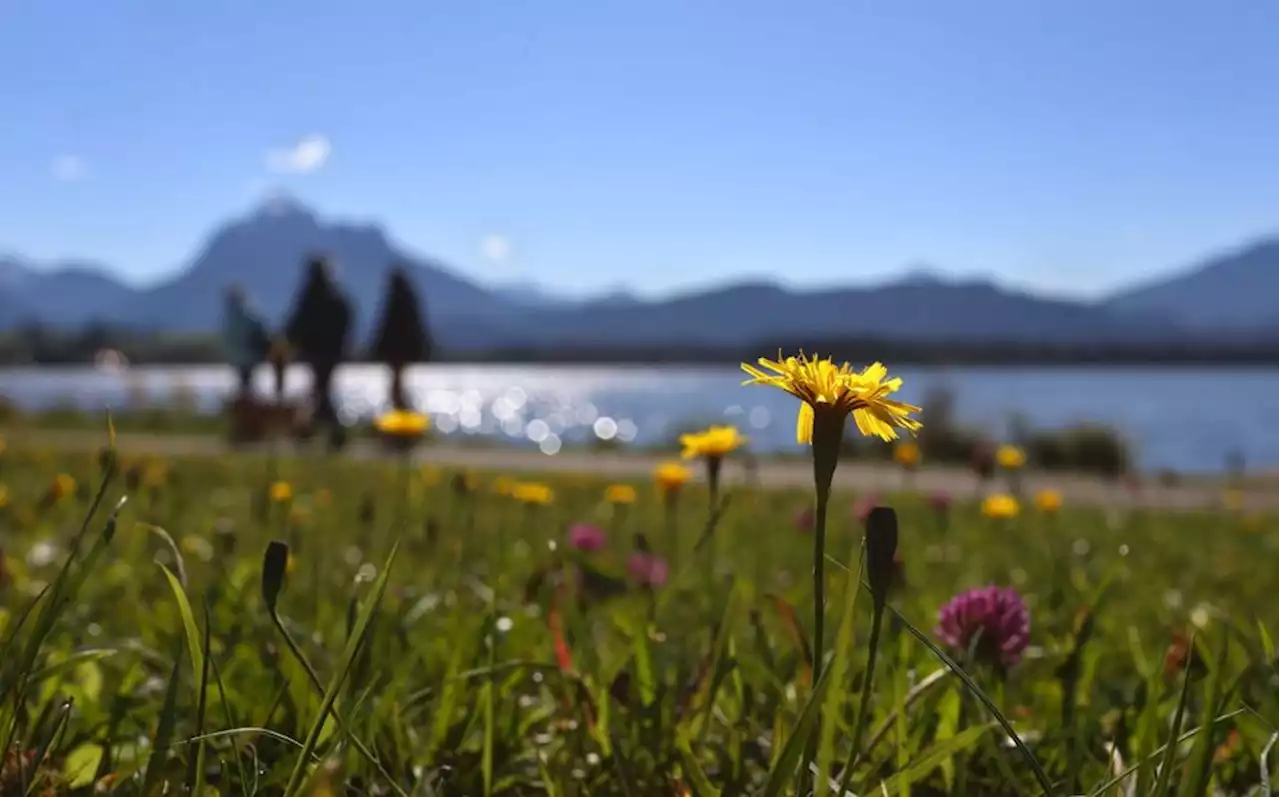 Wetter: Letzte Sonnenstrahlen zum Herbstanfang - idowa