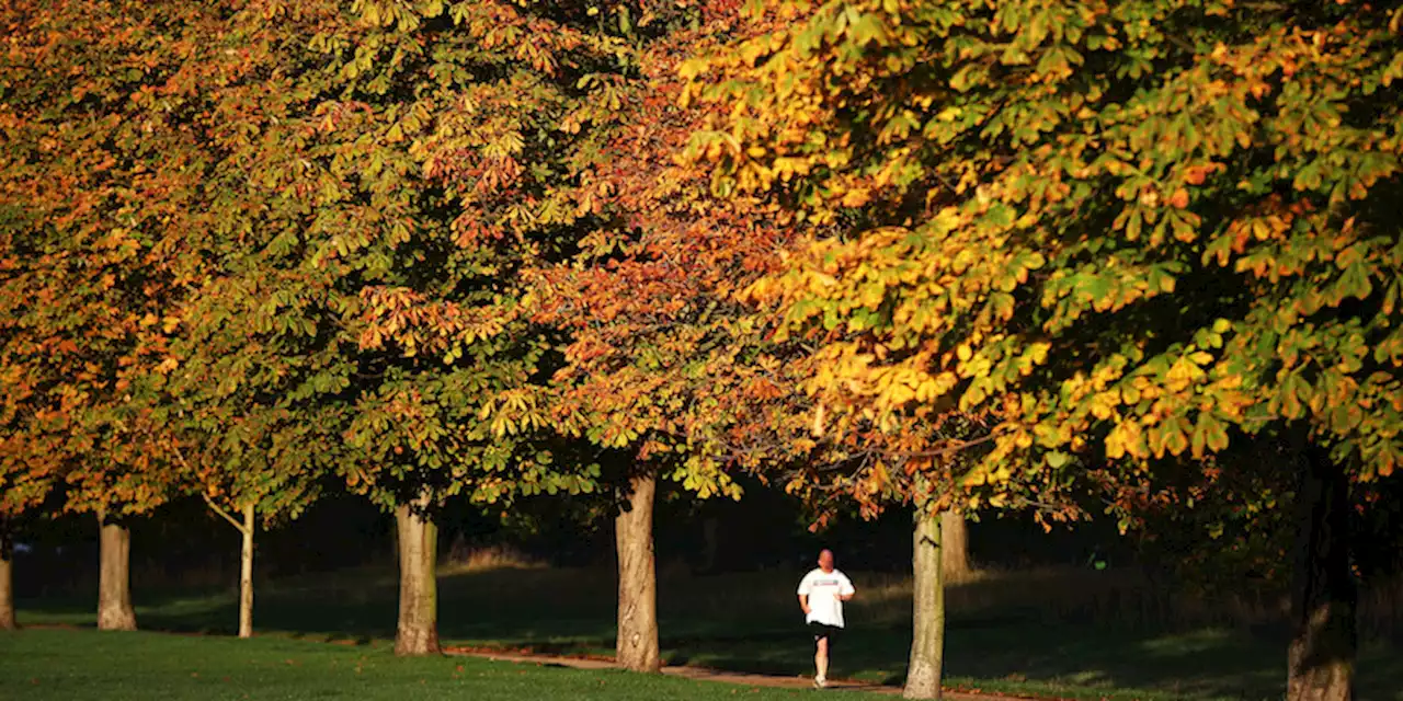 È autunno - Il Post