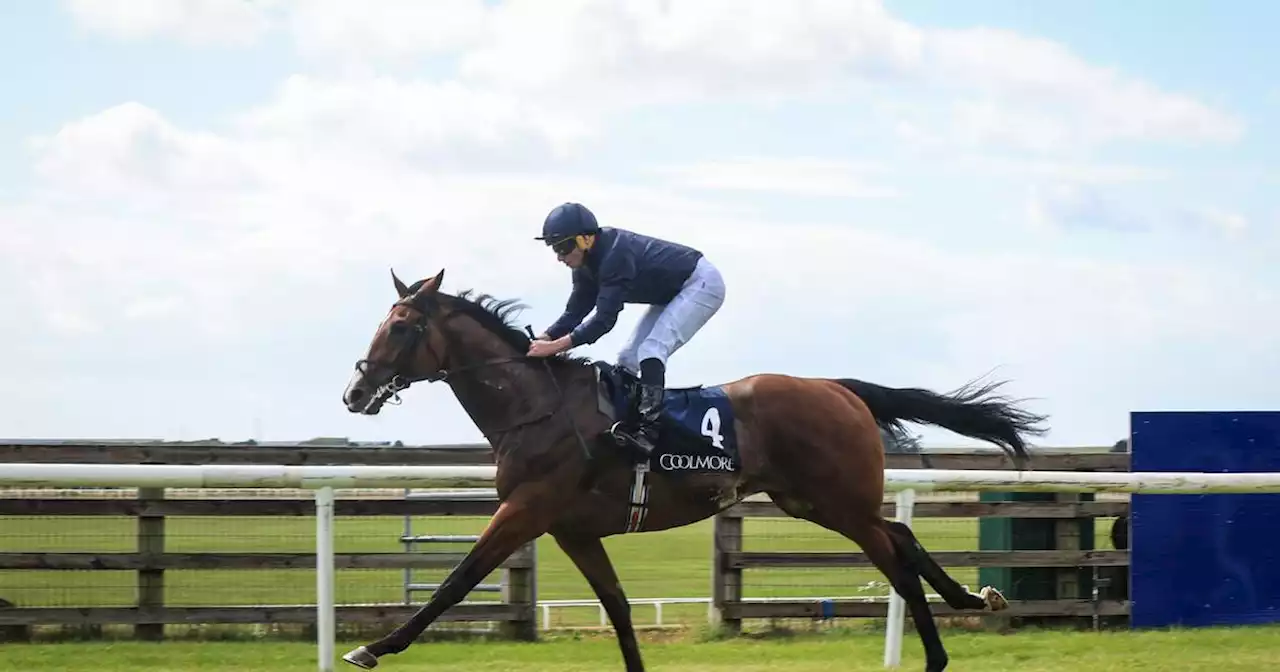Goffs Million tops rich weekend action at the Curragh