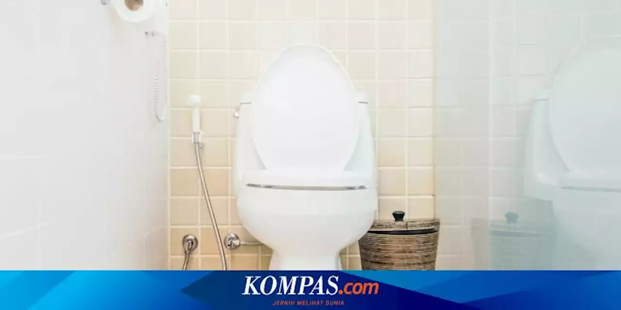 Dampak Tangki Kloset Berjamur dan Cara Menghilangkannya