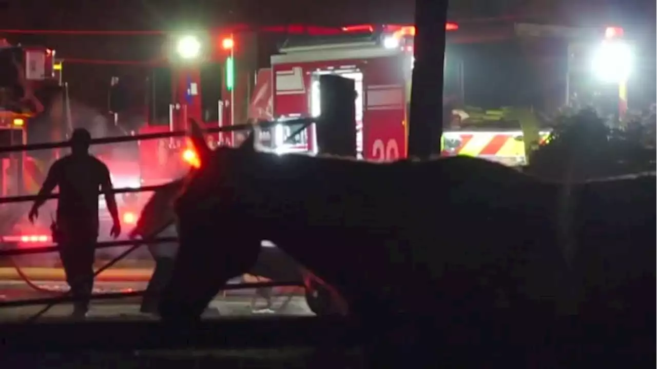 15-20 horses burned to death, others injured in barn fire in northeast Houston: HFD