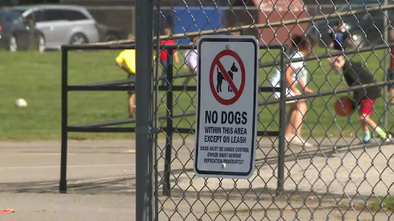 'It's a mess': Dog poop on school grounds a growing problem in Murray District