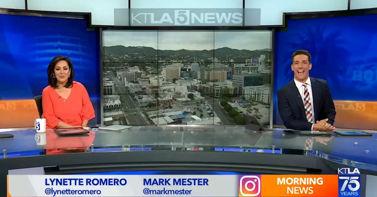 KTLA anchor Mark Mester fired after emotional on-air defense of Lynette Romero