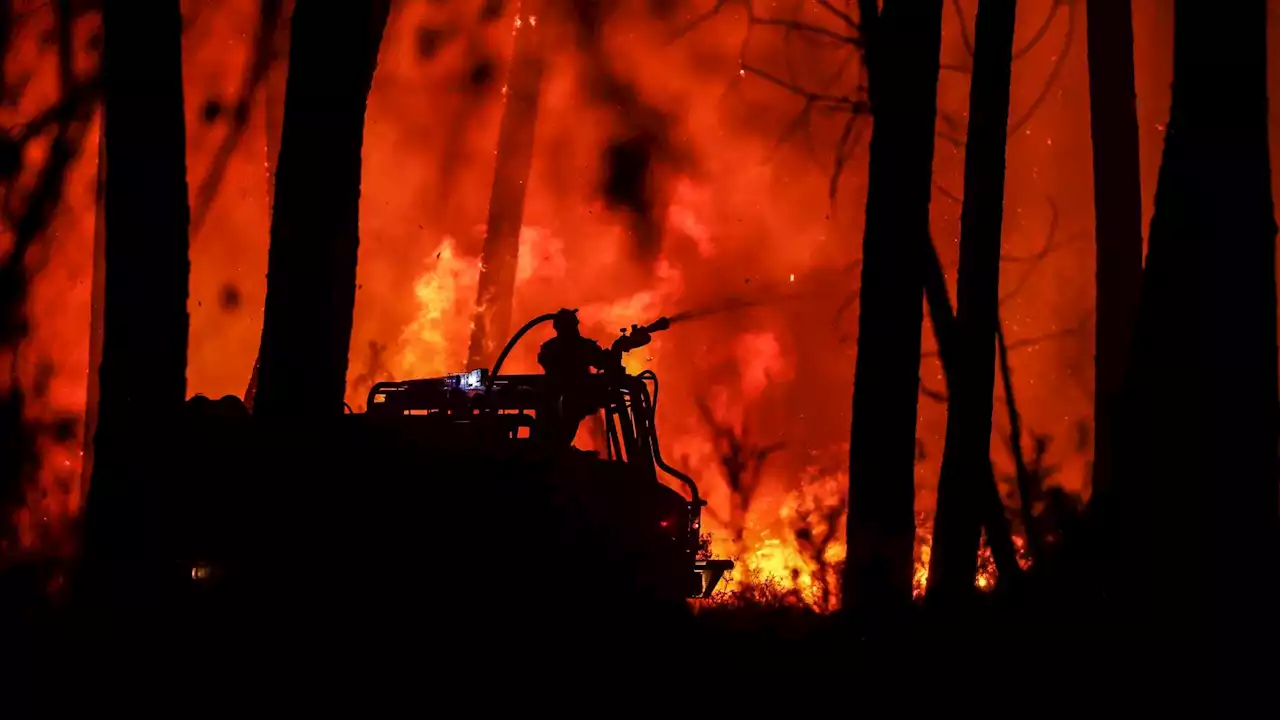 Après les incendies de l’été, déjà 50 personnes arrêtées