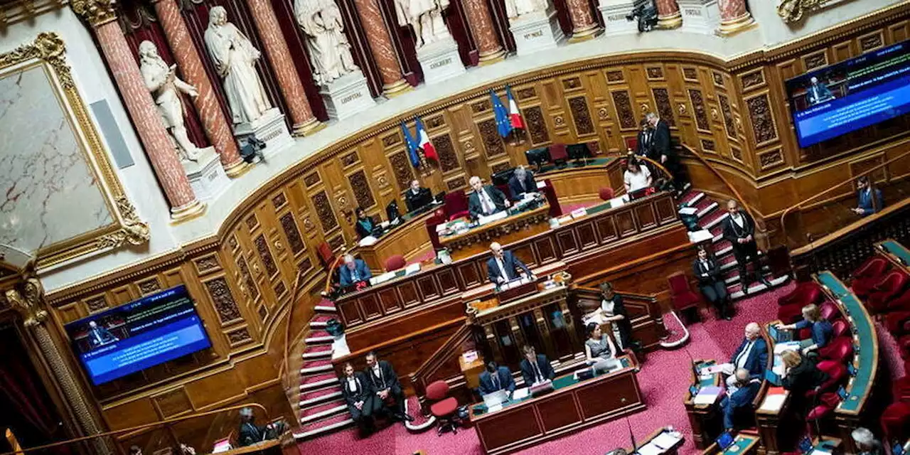 « Ce serait indécent de ne pas bien nous traiter » : l’appétit des sénateurs