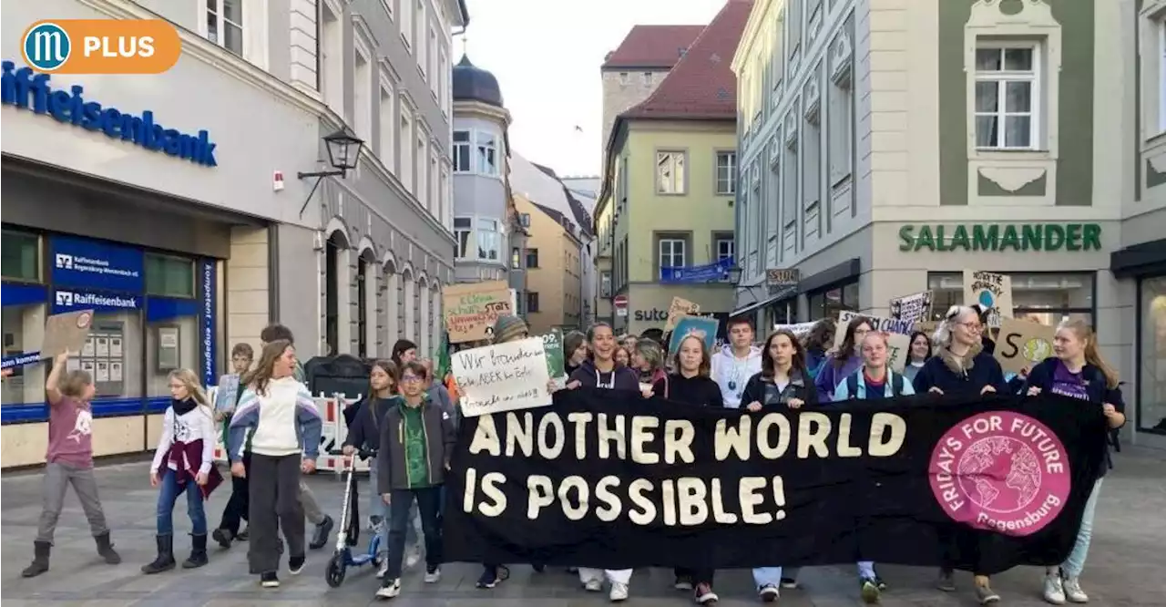 Fridays for Future: Aktivisten nehmen Kapitalismus ins Visier