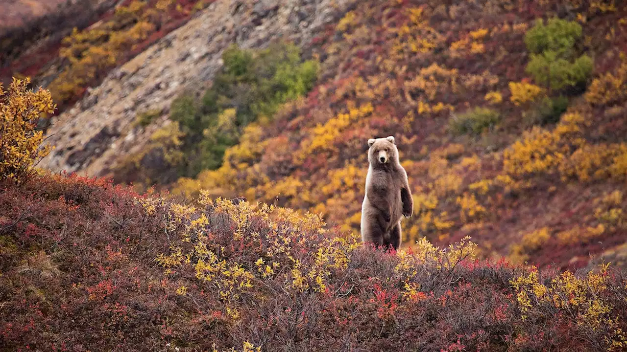 10 national parks that have the best fall foliage