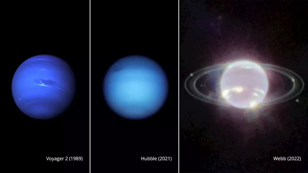 Neptune and Rings Shine in Photos From Webb Space Telescope