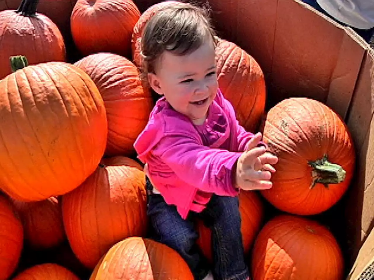 From Halloween Frights to Pumpkin Spice: Your Guide to Fall Fun in Philly Region