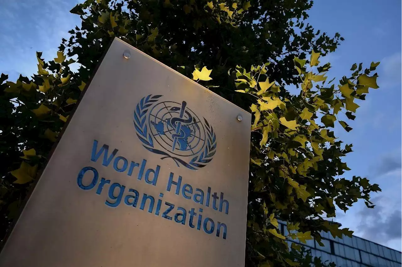 'Blood on your hands' if world steps back on tackling Covid-19 now - WHO official | News24