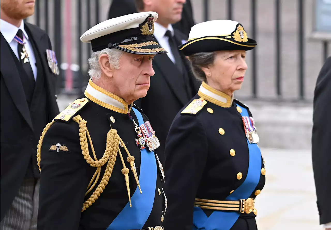 Viral conspiracy theory about King Charles' bodyguards sparks debate