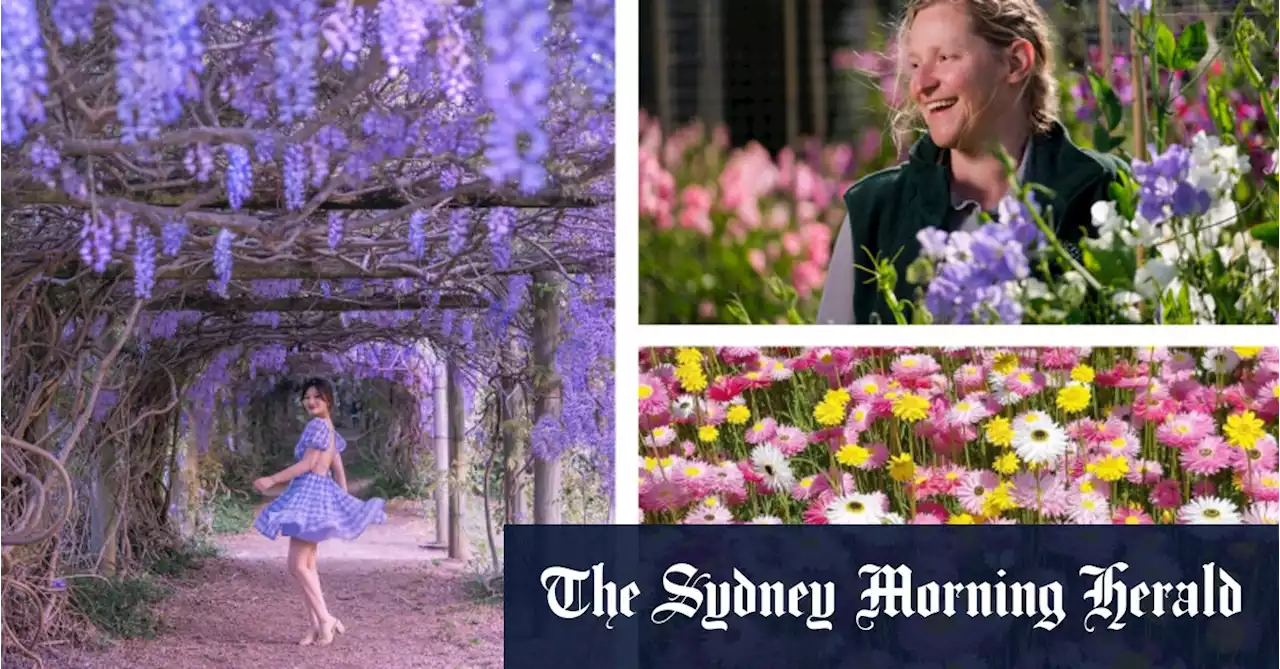 The spring gardens putting on a blooming show in Sydney