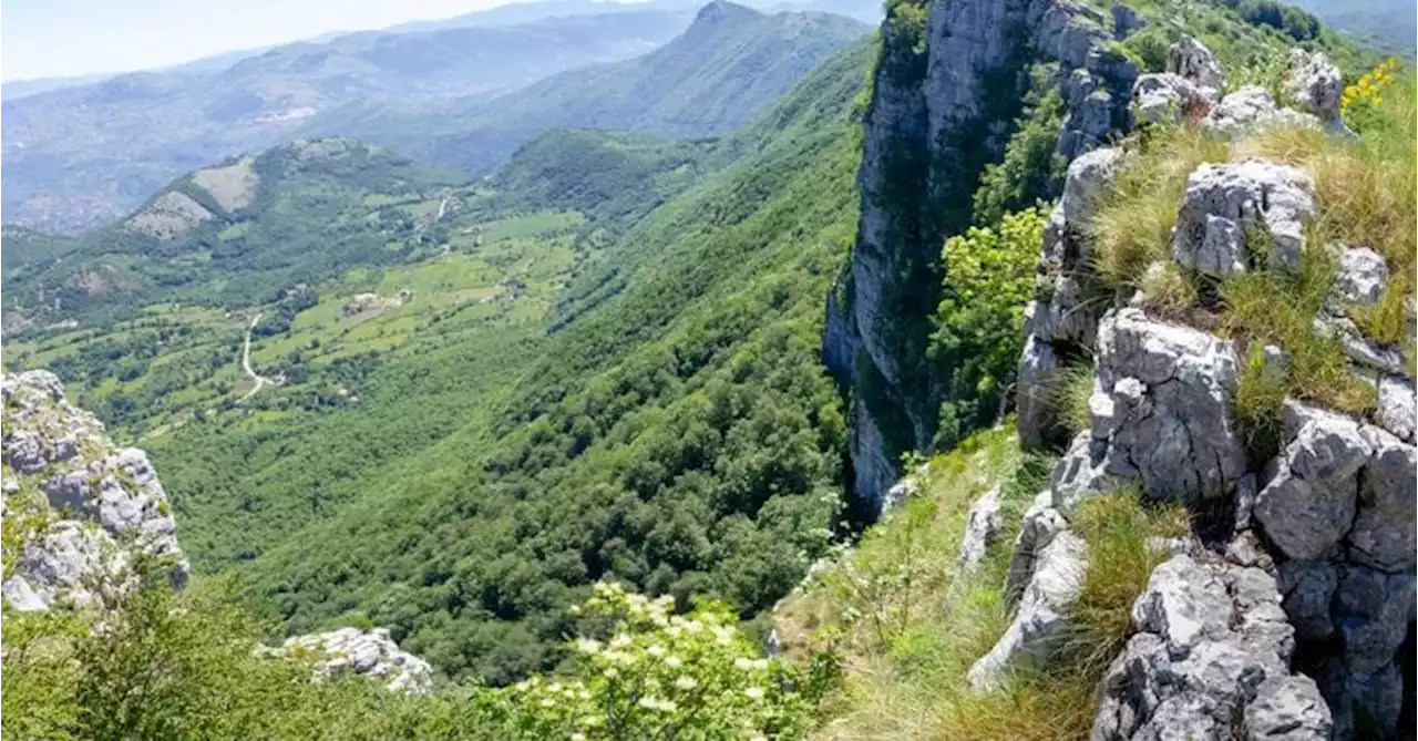 Il bio-distretto Cilento premiato dalla Ue come migliore d’Europa