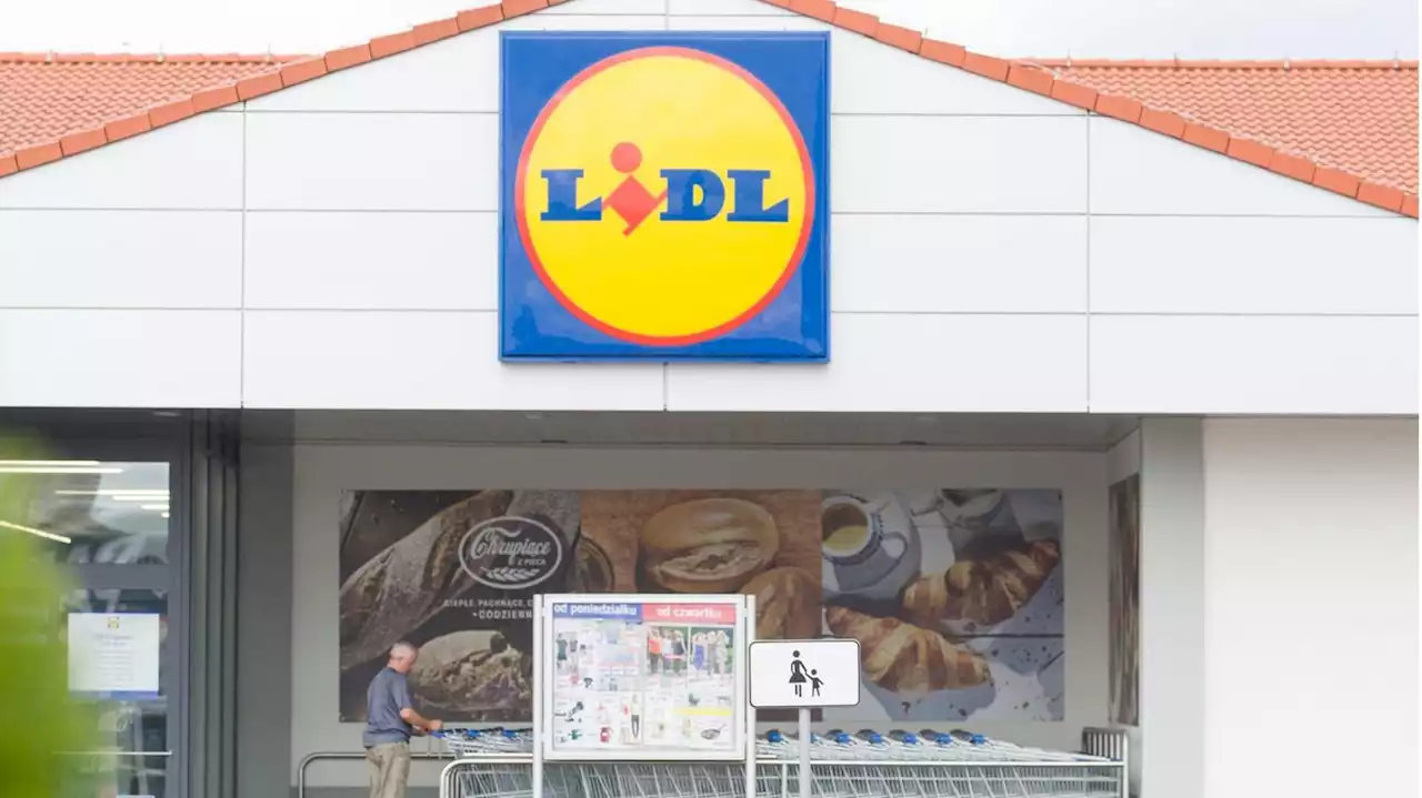 Nudel-Offensive, Papierfabrik, Schiffsflotte: Wie der Lidl-Konzern in der Krise sein Imperium ausbaut