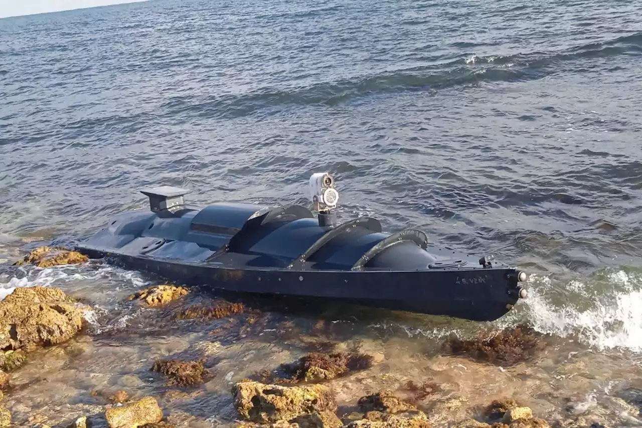 Mystery as 'Ukrainian suicide drone' washes up on beach by Russian navy base