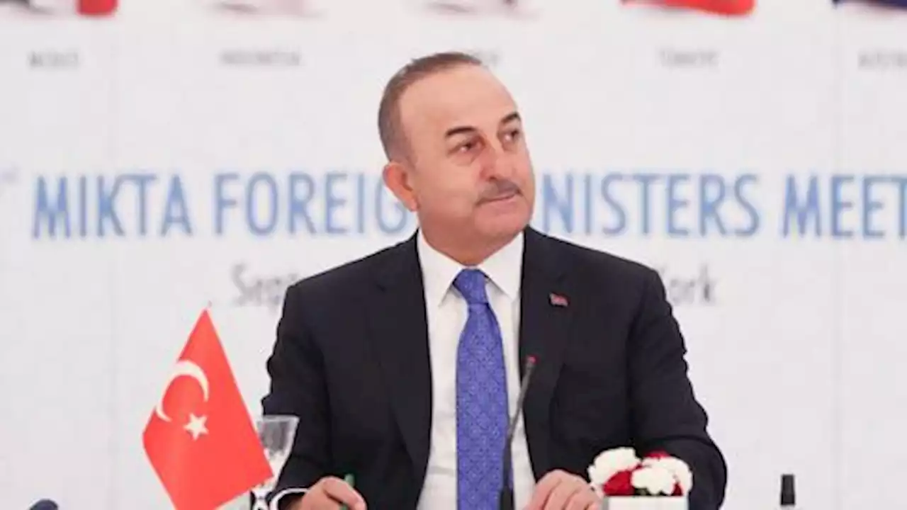 Cavusoglu: Ukraine-Russia ceasefire will happen through Türkiye's efforts