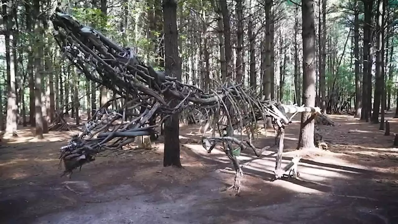 There are dinosaur sculptures hidden in the woods at Allaire State Park