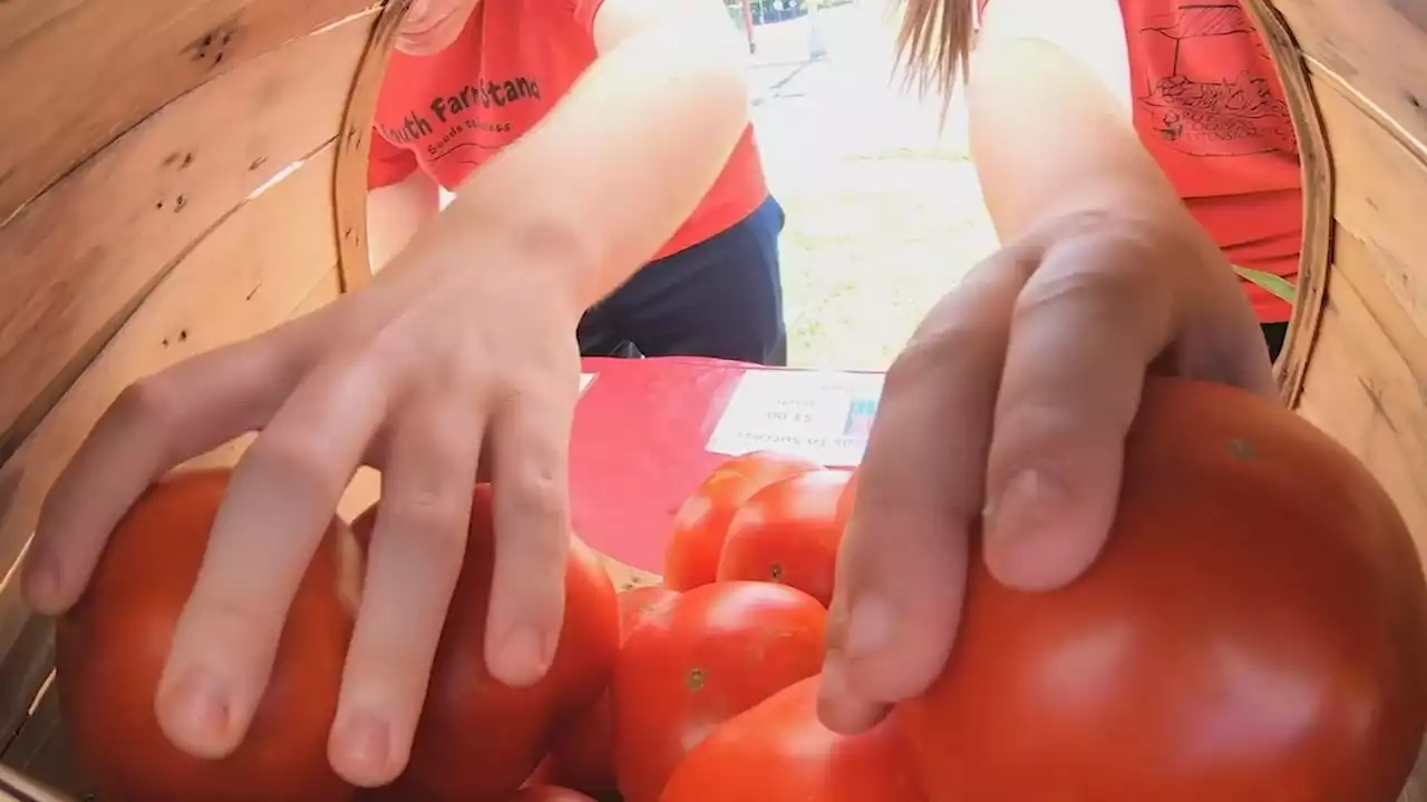 South Jersey students planting the seeds to success at farm stand this summer