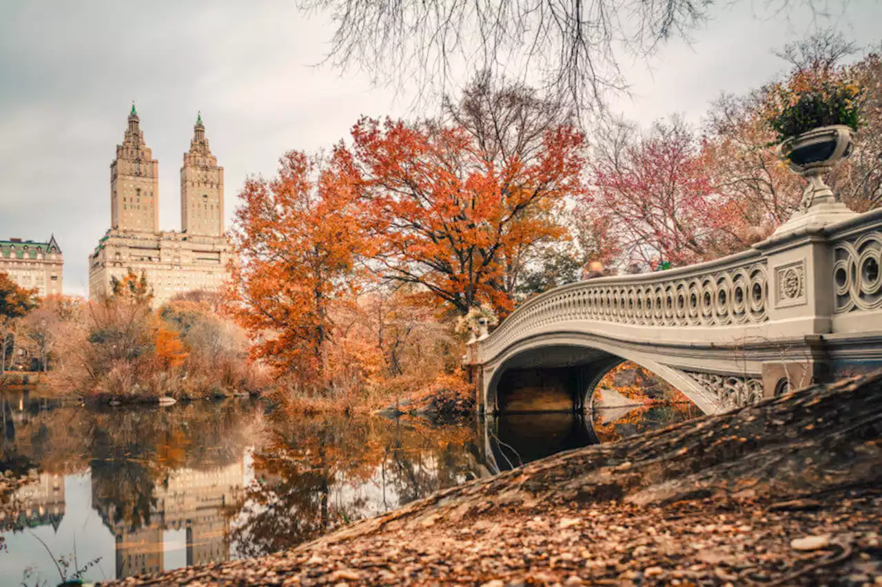 Here are some must-do activities in Central Park this fall | amNewYork