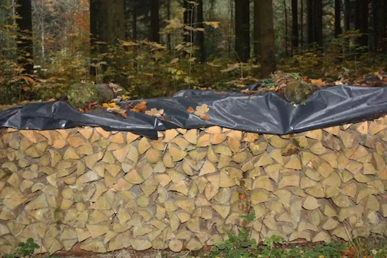 Einsatz für höhere Preise: Es braucht jeden im Holzmarkt - bauernzeitung.ch