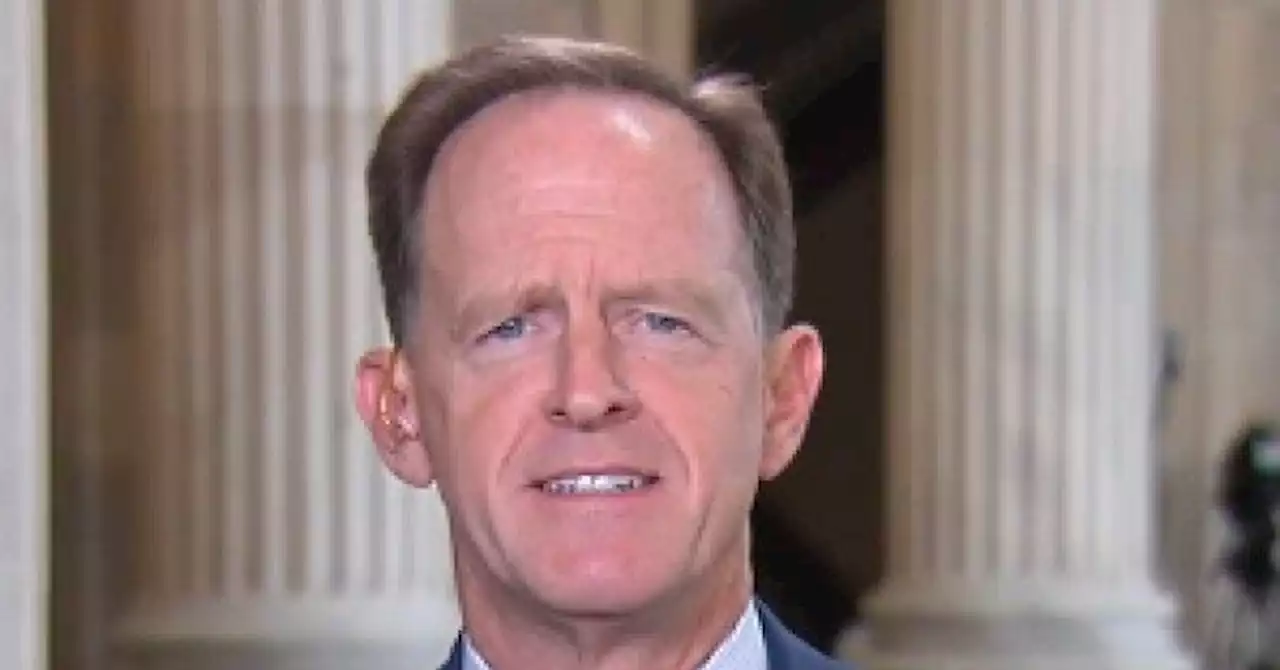 Toomey: 'Undemocratic' Woke Banks Will 'End Up Being Treated Like a Public Utility' if They're Not Careful