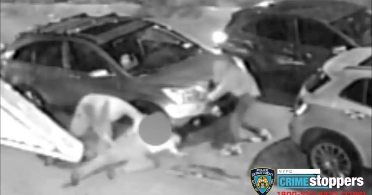 81-year-old brutally beaten and robbed in Queens