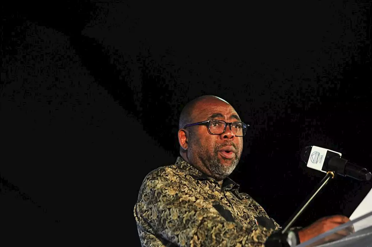 'I can’t bargain with the unions through the media' - Thulas Nxesi | Citypress