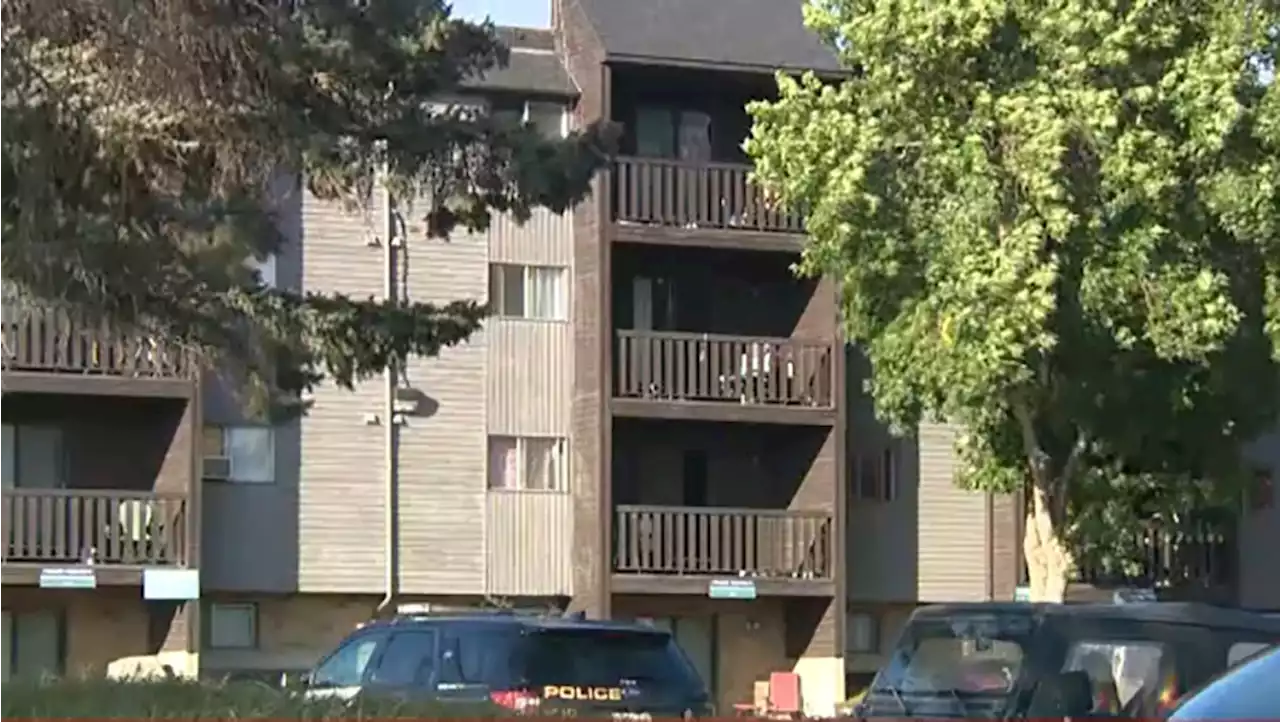 Child falls from fourth-floor balcony in southeast Calgary