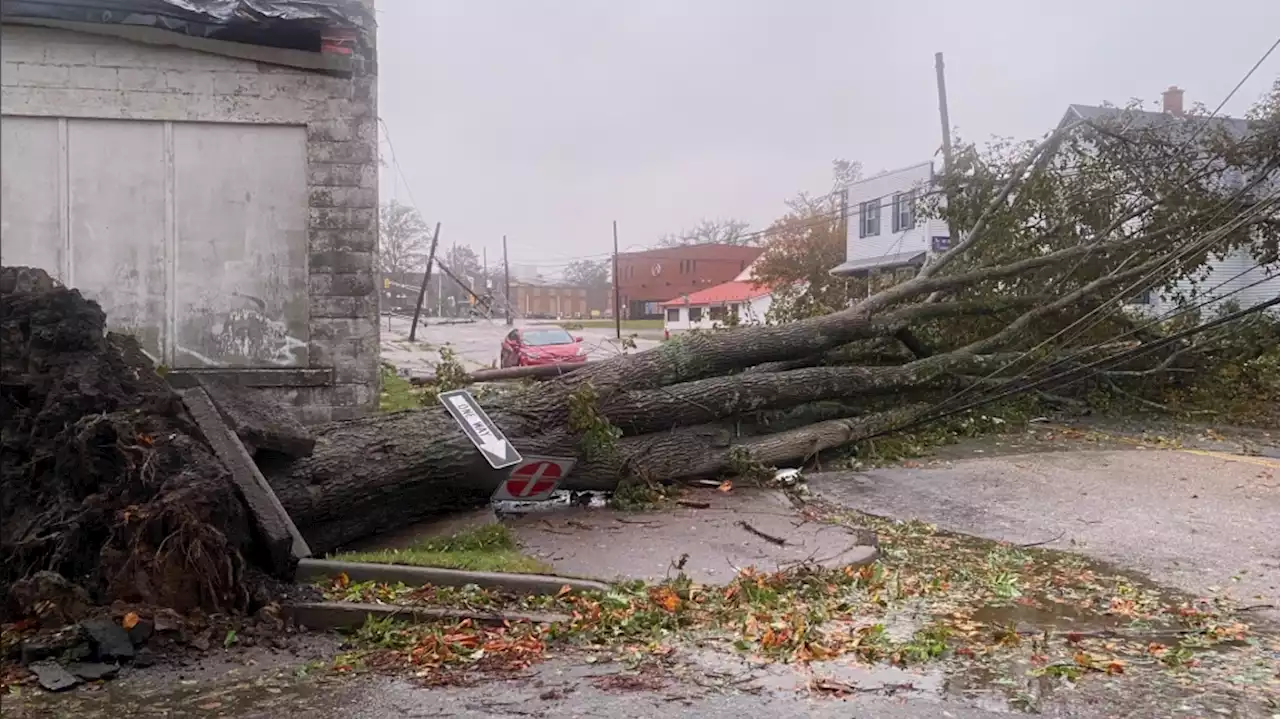 State of emergency declared for Cape Breton Regional Municipality: mayor, council