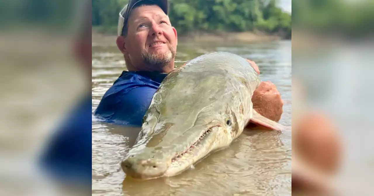 Deadline approaching for permits to fish for alligator gar along Trinity River