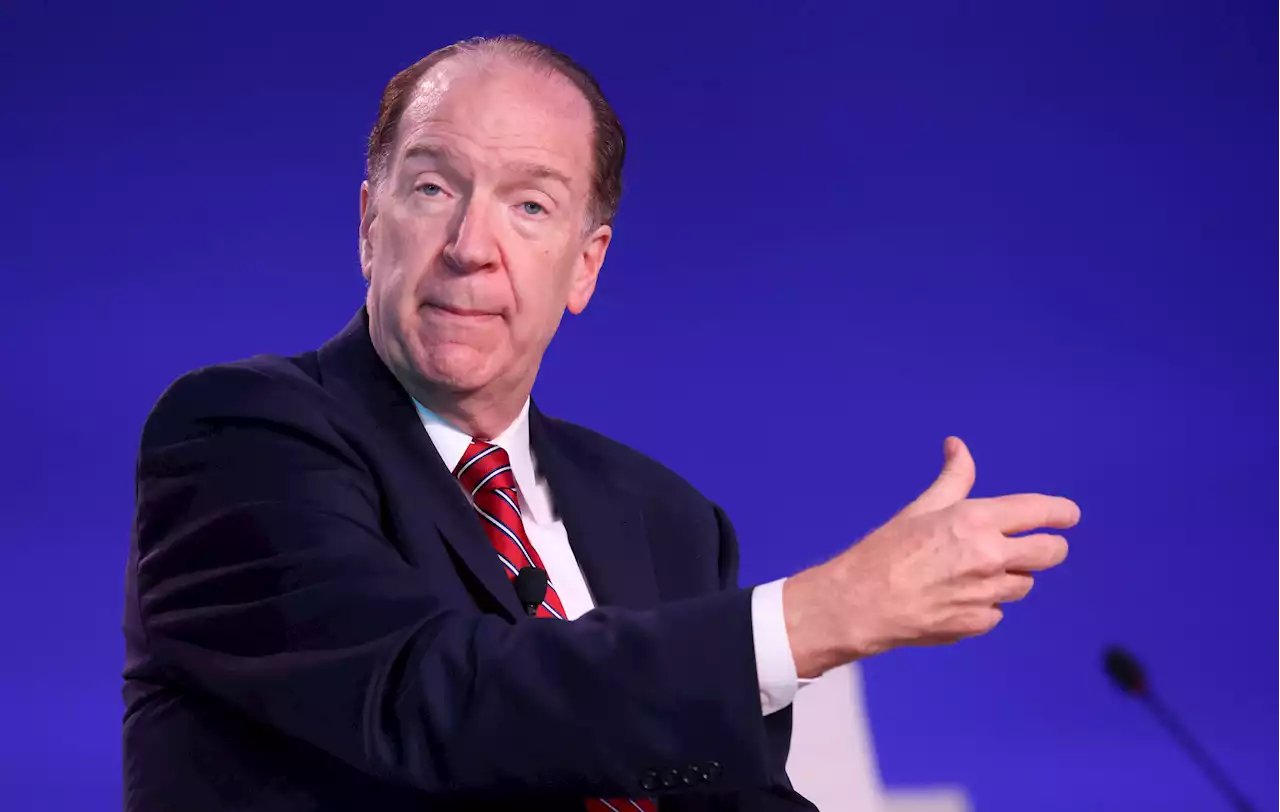 World Bank President David Malpass on chopping block over lack of climate push