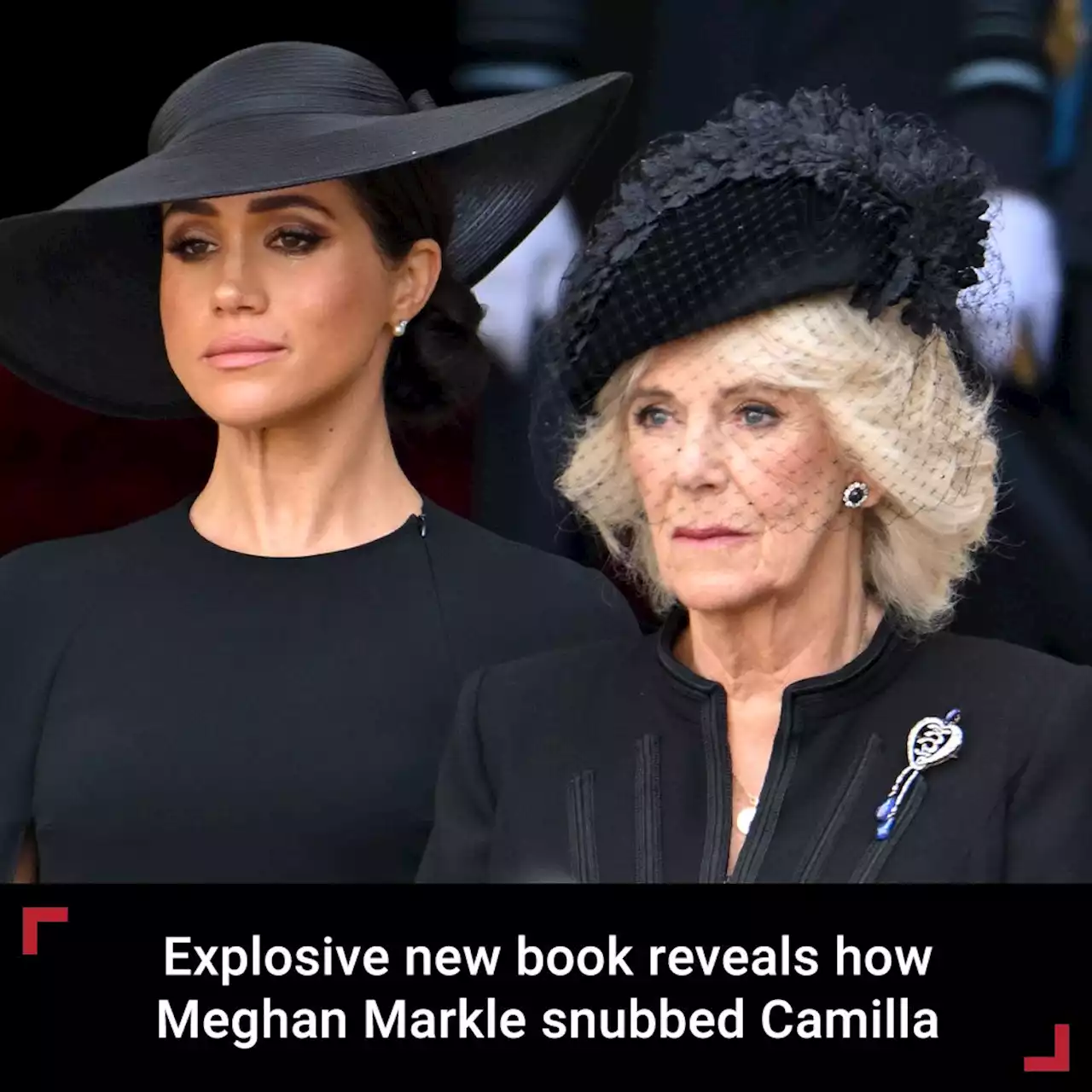 Meghan Markle ‘seemed bored’ with Queen Consort Camilla’s advice after joining royal family, author claims