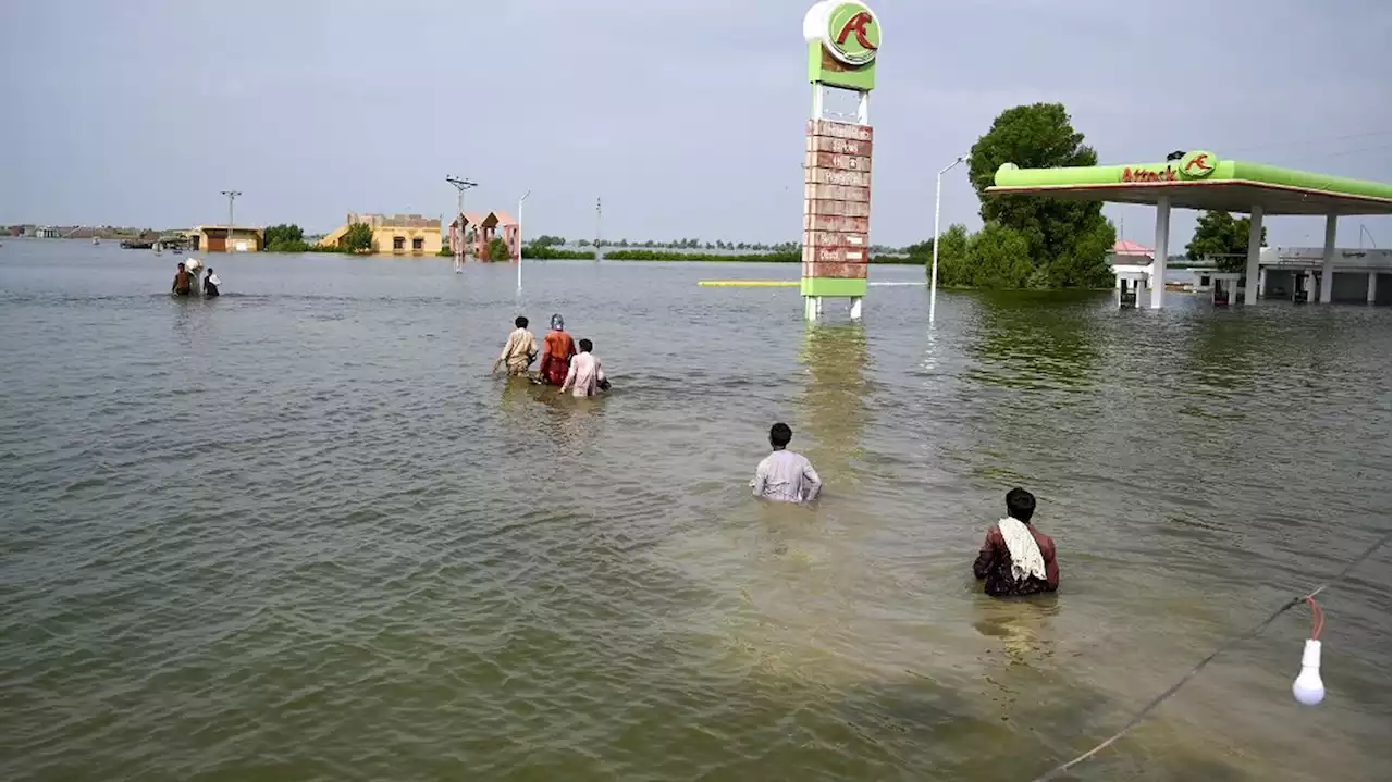 Crise climatique : le Pakistan lance à l'ONU un appel désespéré à sauver la planète