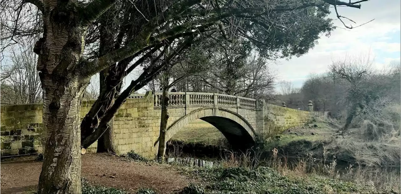 4 of the best autumn walks in Glasgow