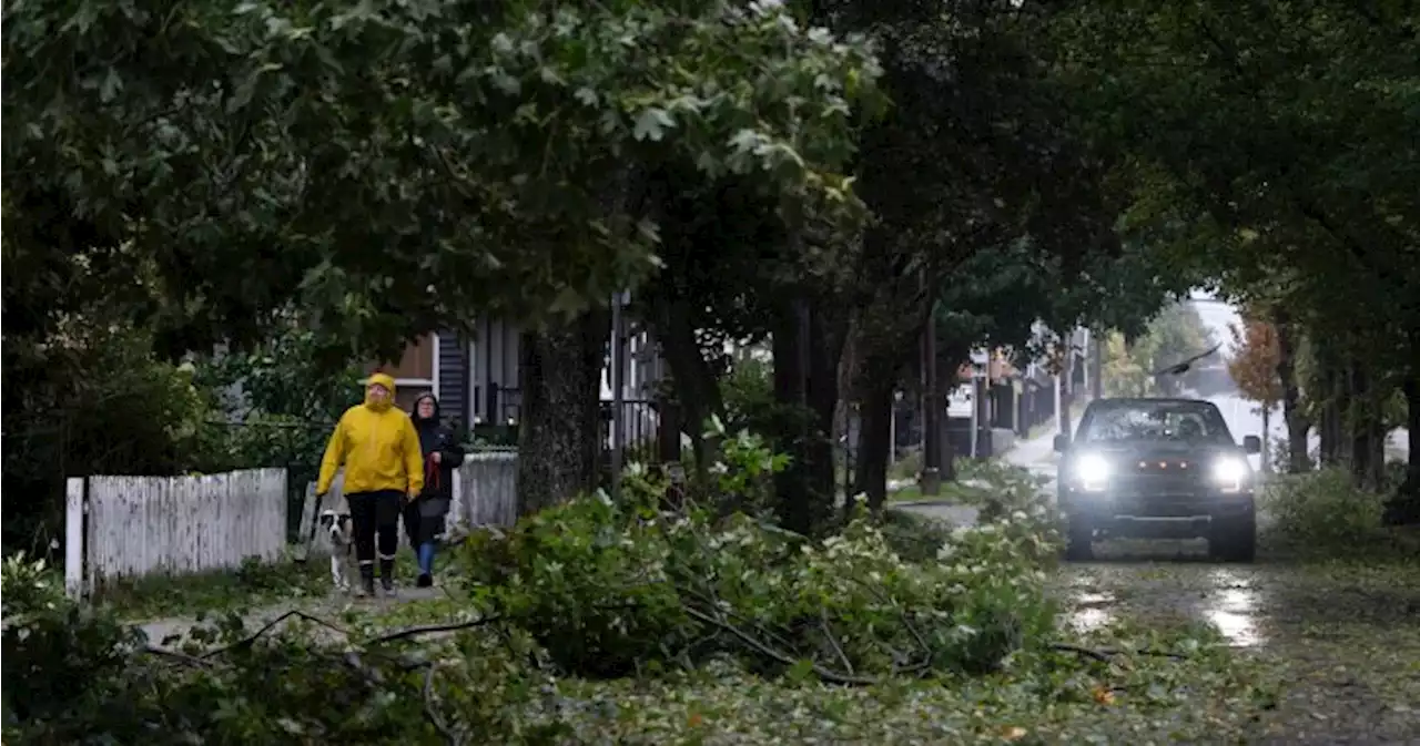 IN PHOTOS: Scenes of damage as Fiona makes landfall across eastern Canada | Globalnews.ca