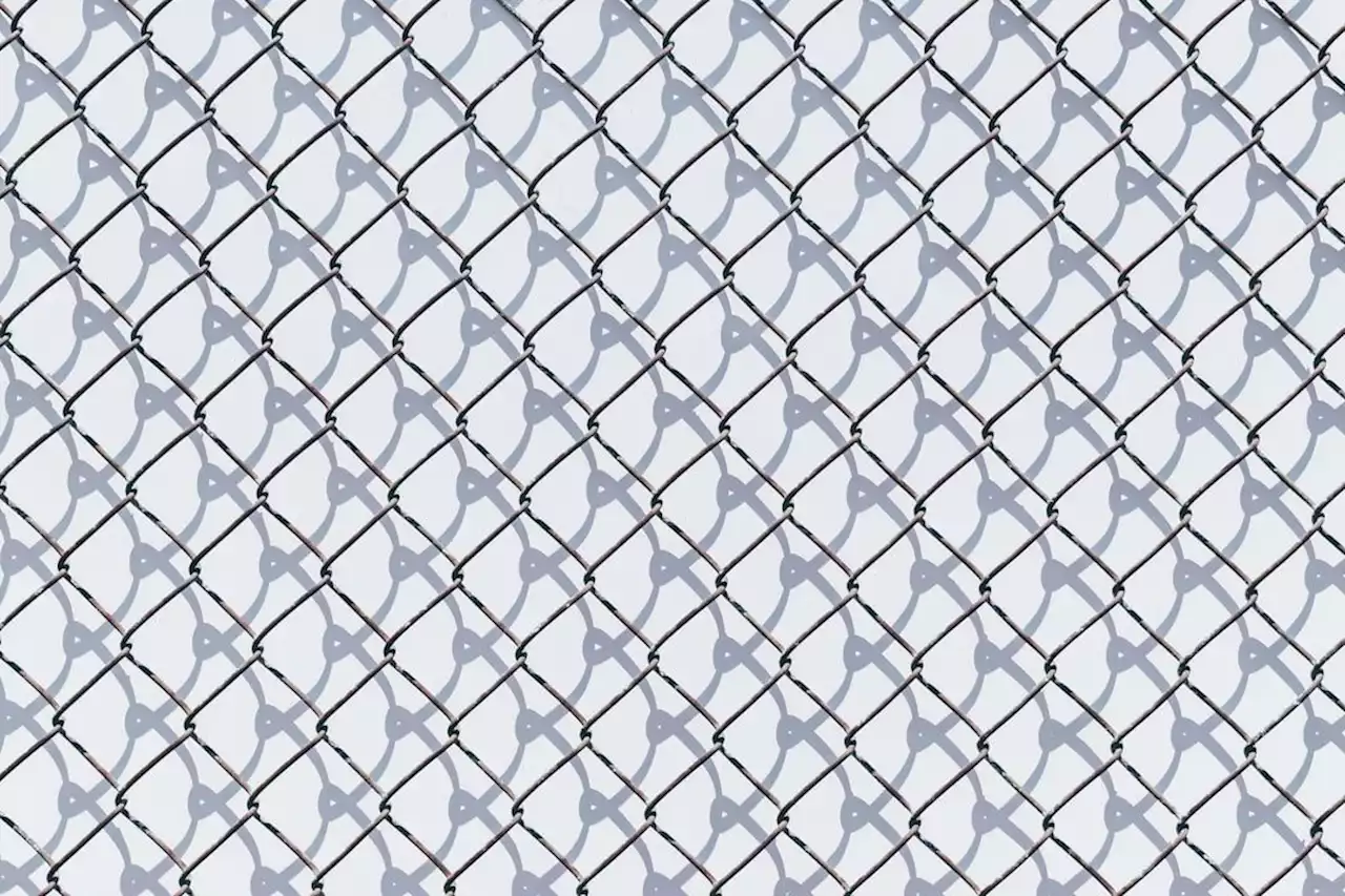 DAFI Protocol, the Chain Link of Staking Rewards | HackerNoon