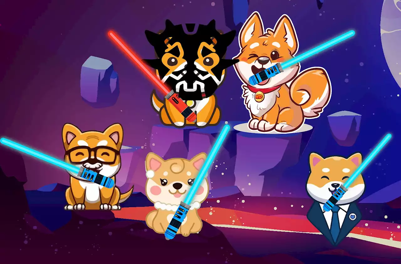 Doge Wars: Attack Of The Clones | HackerNoon