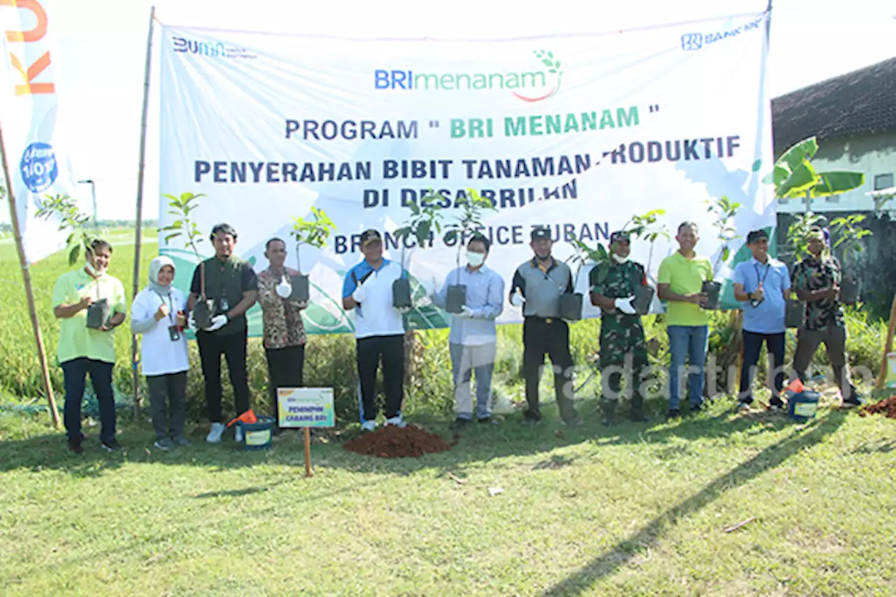 Program BRI Menanam, Wujud Konsistensi Hijaukan Bumi