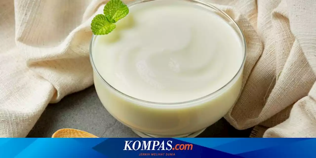 Apa Efek Samping Makan Yogurt Setiap Hari?