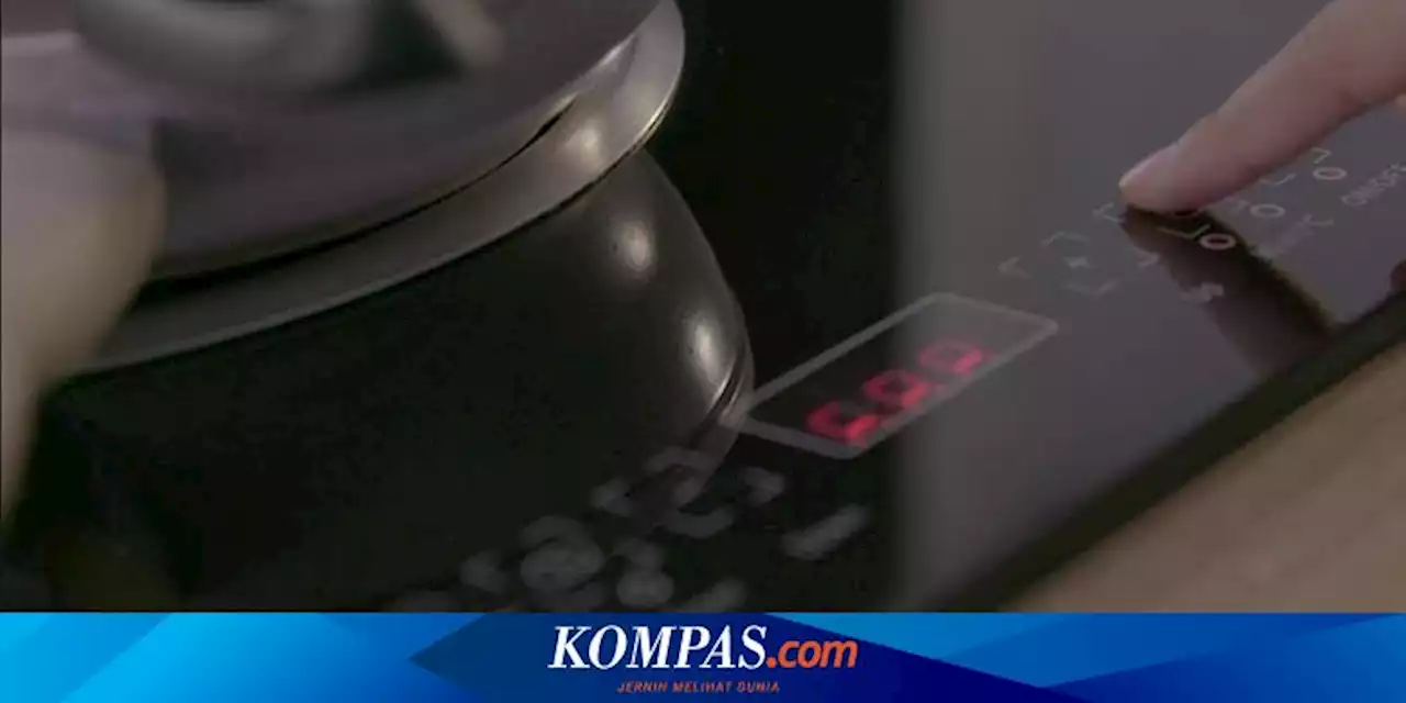 Pemerintah Tunda Program Konversi Kompor Listrik, Menko Airlangga: Masih Uji Coba