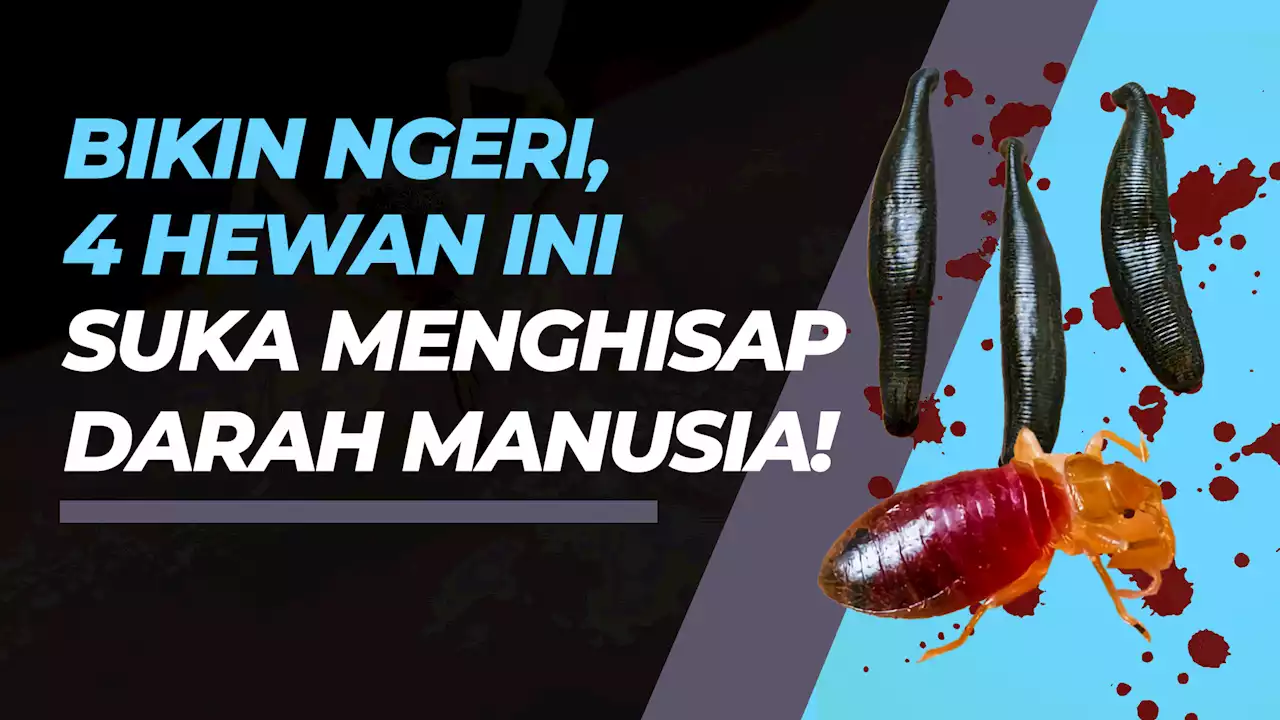 Selain Nyamuk, Ini 4 Hewan Lain yang Suka Menghisap Darah Manusia