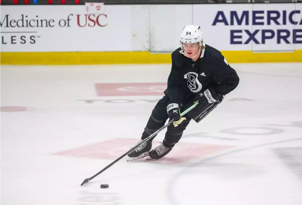 Kings’ top prospects focus on the process and progress