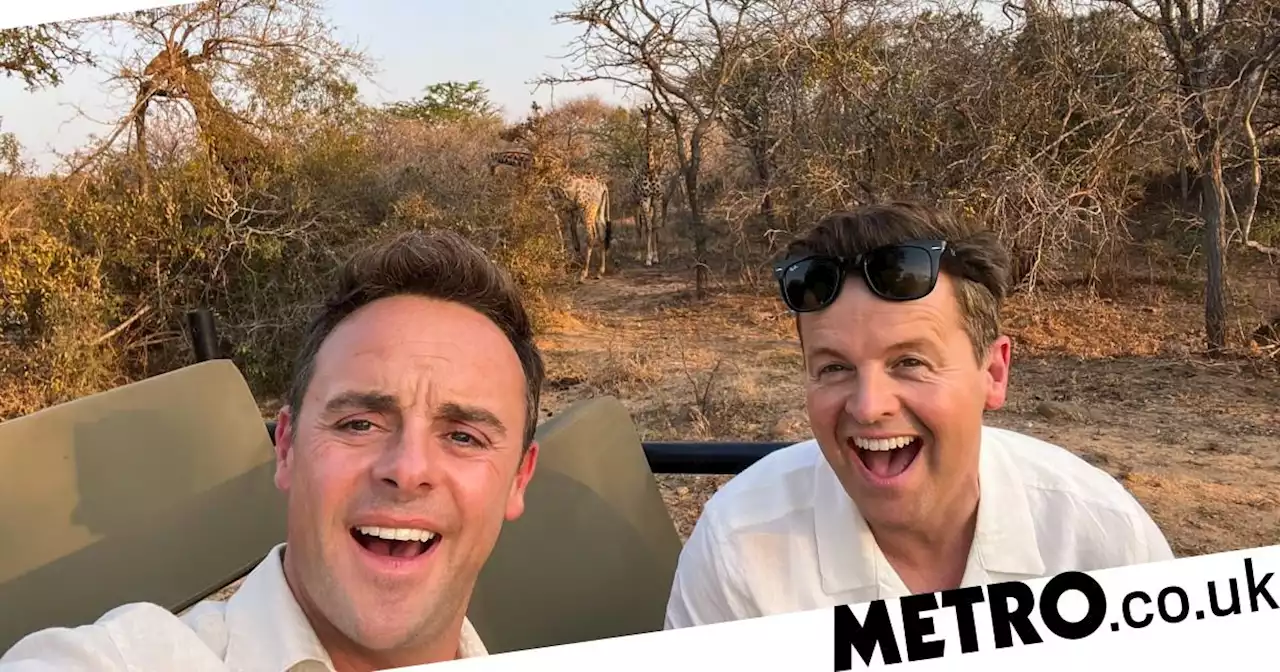 Ant and Dec on wildlife adventure amid I’m A Celeb All Stars South Africa reveal