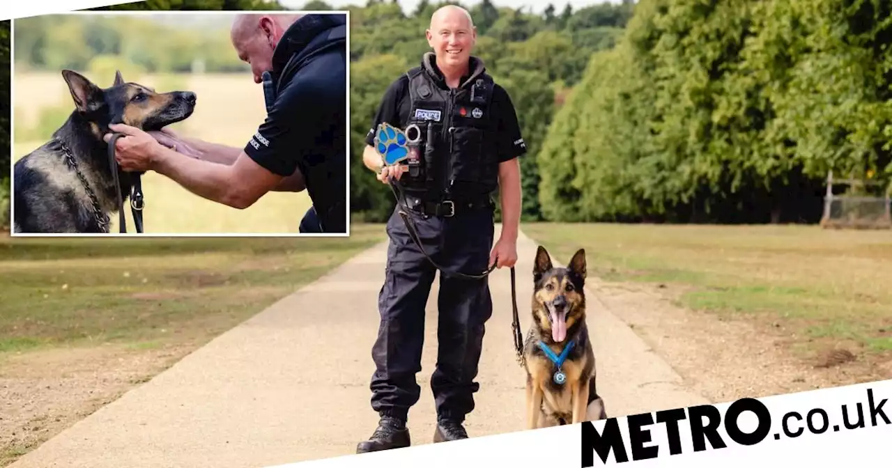 Police dog who was shot in the head given bravery award