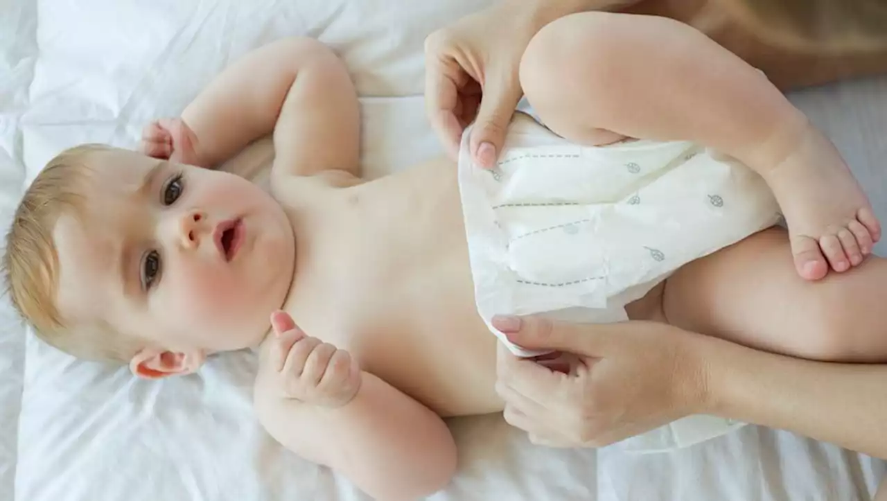 Ils retrouvent une larve dans des couches Pampers neuves : des parents déposent une main courante