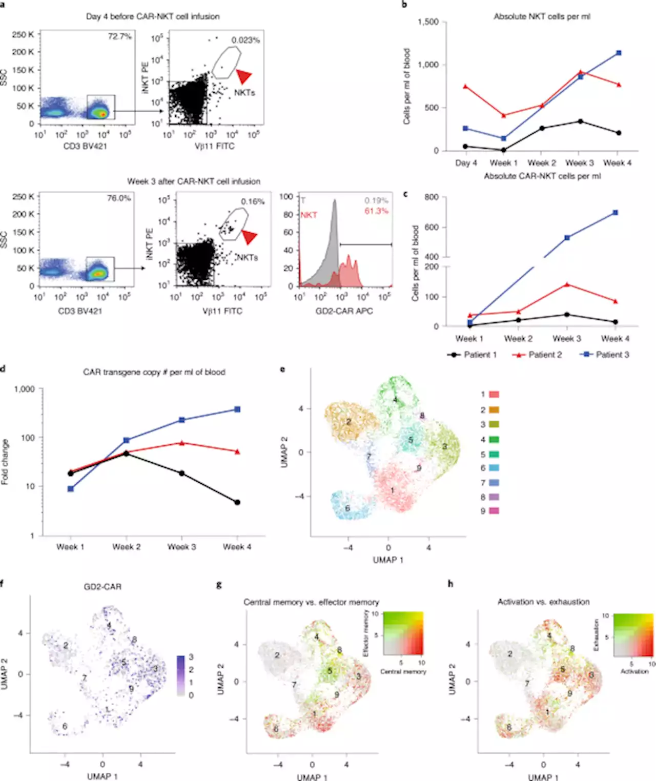 Anti-GD2 CAR-NKT cells in patients with relapsed or refractory neuroblastoma: an interim analysis - Nature Medicine