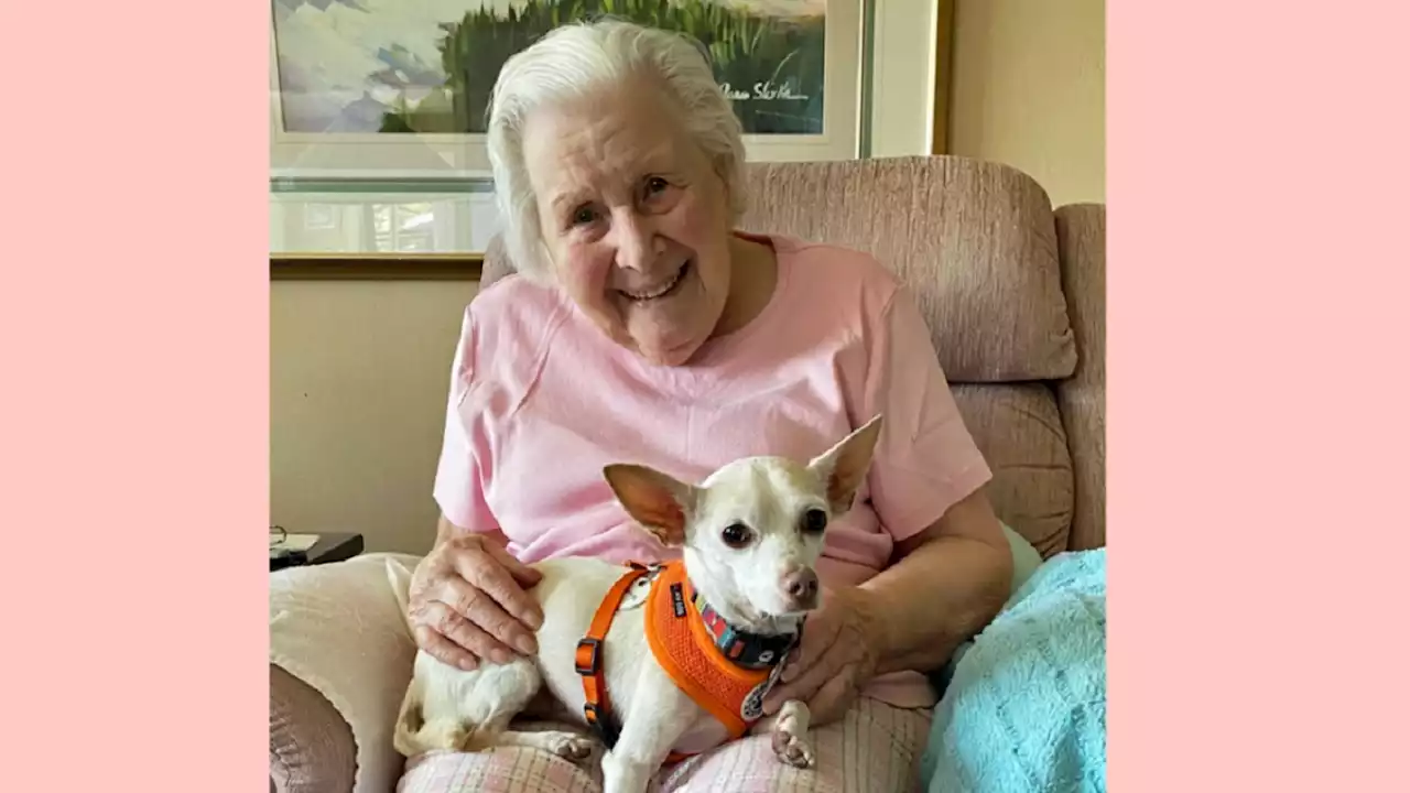 100-Year-Old Woman Adopts 11-Year-Old Dog in Perfect Senior Match