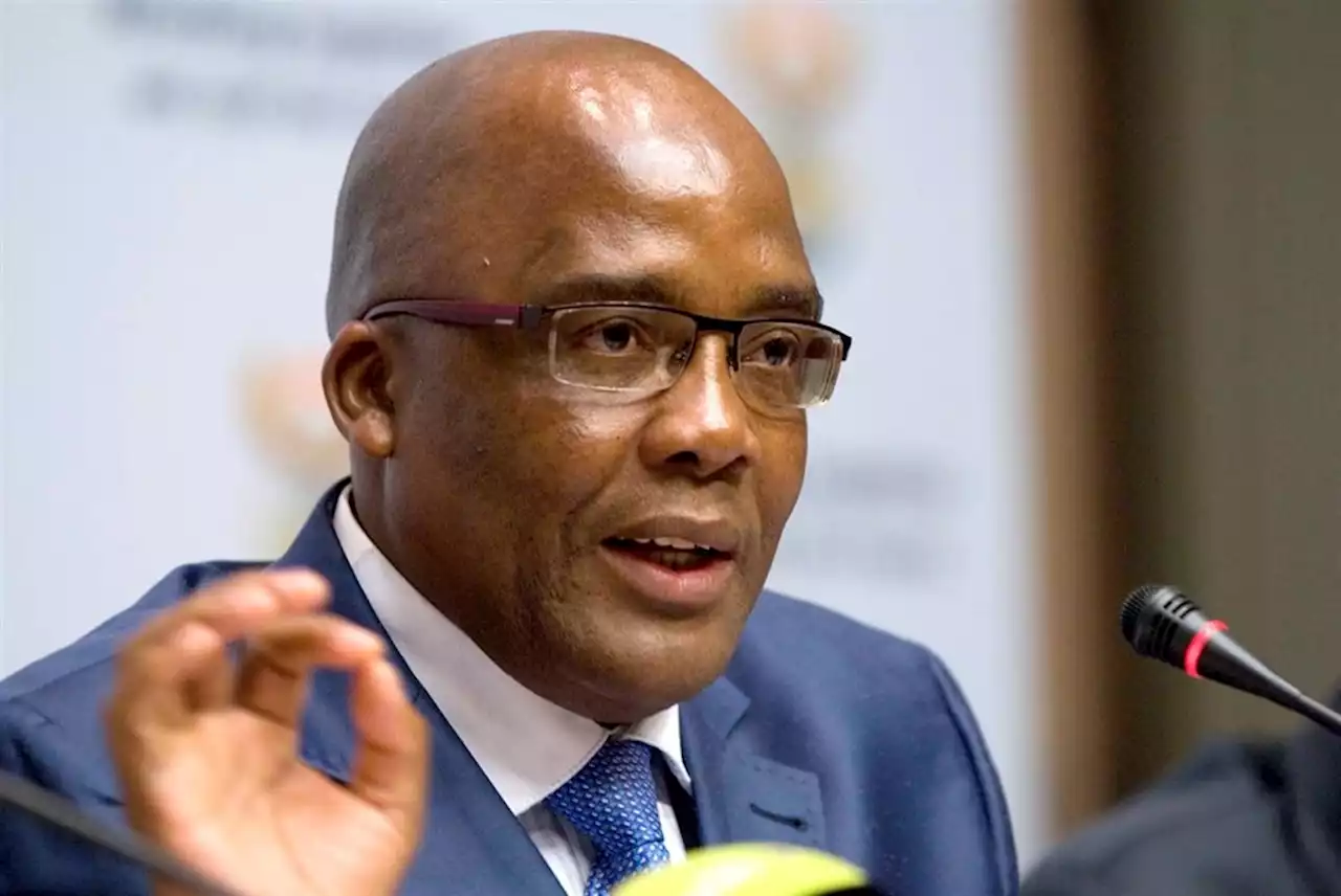 Police can use e-system to run checks on foreign nationals without detaining them - Aaron Motsoaledi | News24